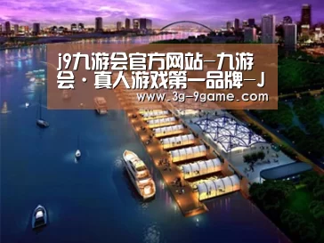案例展示八
